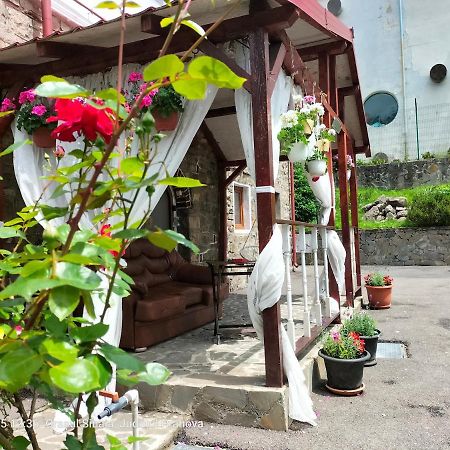 شقة سِنايا  في Casa Olguta المظهر الخارجي الصورة