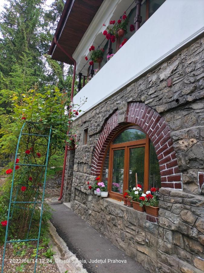 شقة سِنايا  في Casa Olguta المظهر الخارجي الصورة