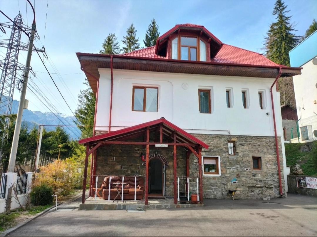 شقة سِنايا  في Casa Olguta المظهر الخارجي الصورة