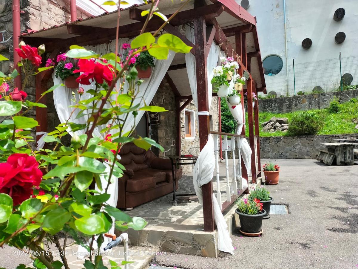 شقة سِنايا  في Casa Olguta المظهر الخارجي الصورة