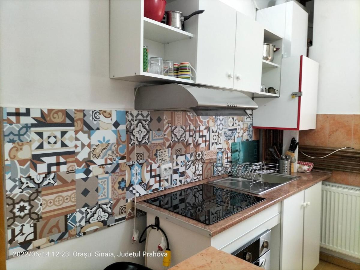 شقة سِنايا  في Casa Olguta المظهر الخارجي الصورة