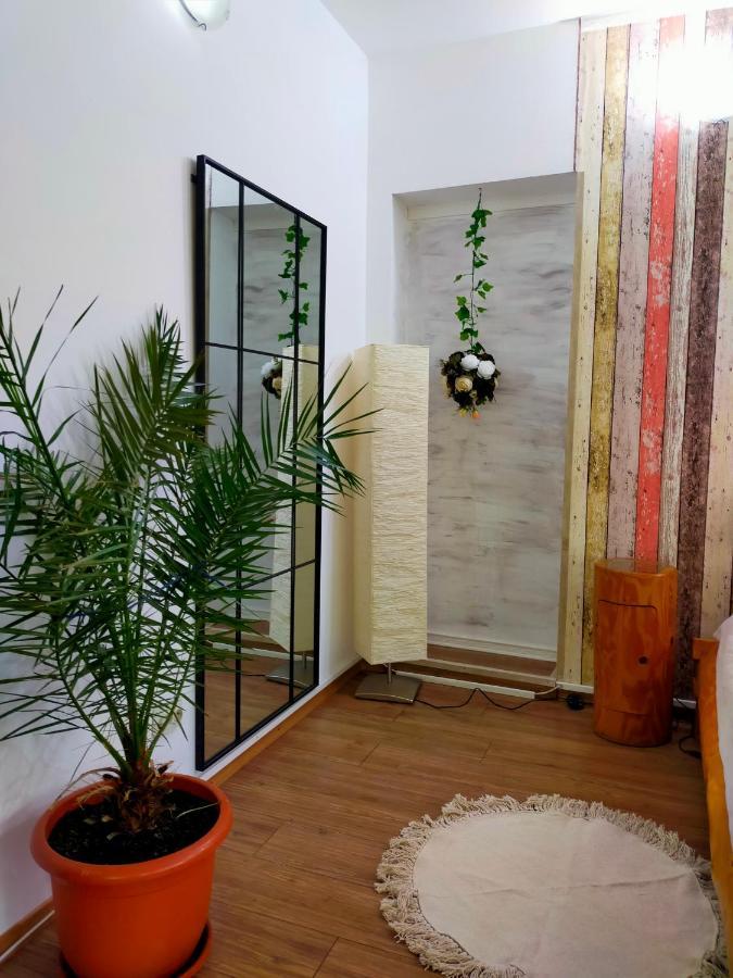 شقة سِنايا  في Casa Olguta المظهر الخارجي الصورة